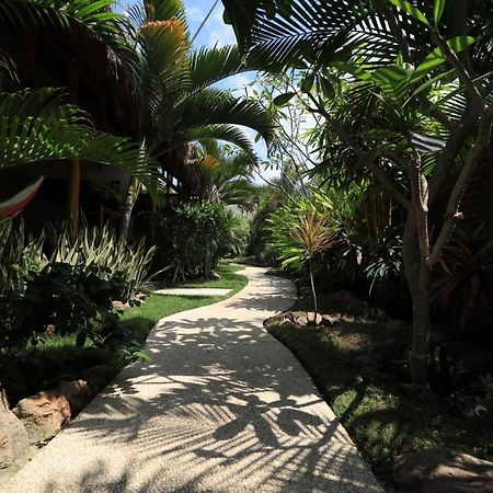 Kuta  Albany Home Stay מראה חיצוני תמונה